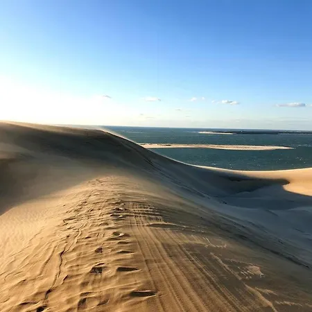Arcareve * Arcachon