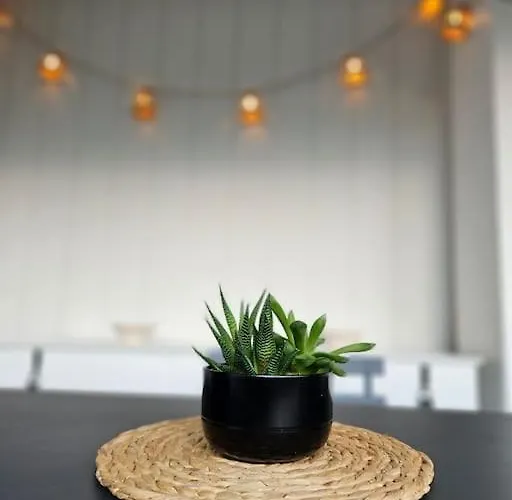 Arcarêve - Grand Deluxe Avec Terrasse, Jardin Et Accès Par La Résidence Arcachón